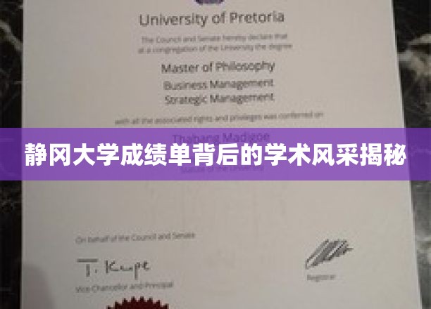 静冈大学成绩单背后的学术风采揭秘