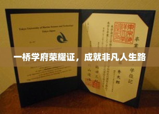 跨桥铸梦学府篇，书写非凡人生篇章