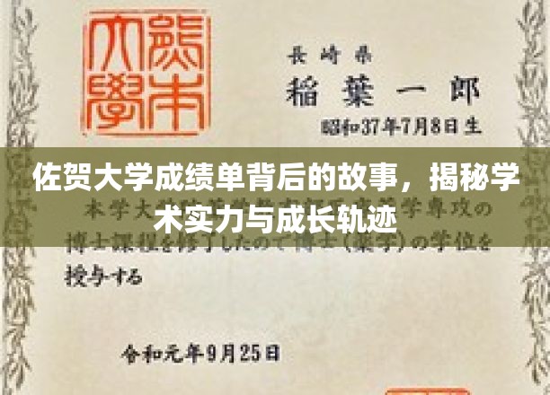 佐贺大学成绩单背后的故事，揭秘学术实力与成长轨迹