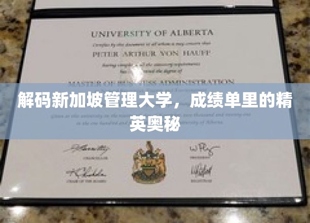 新加坡管理大学，揭秘学霸背后的管理智慧