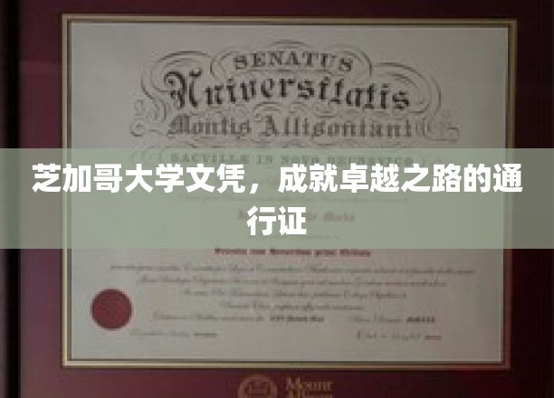 芝加哥大学文凭，开启非凡成就的黄金钥匙