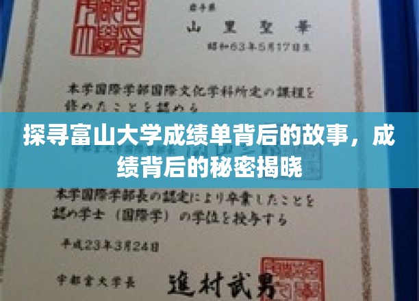 揭秘富山大学成绩单背后的故事，探索成绩背后的奥秘