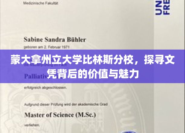 蒙大拿州立大学比林斯分校，探寻文凭背后的价值与魅力