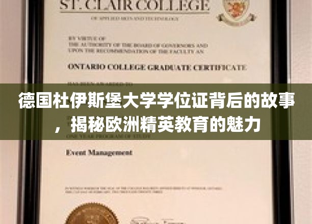探寻杜伊斯堡大学学位证背后的传奇，欧洲精英教育的独特魅力