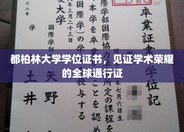 都柏林大学学位证书，见证学术荣耀的全球通行证