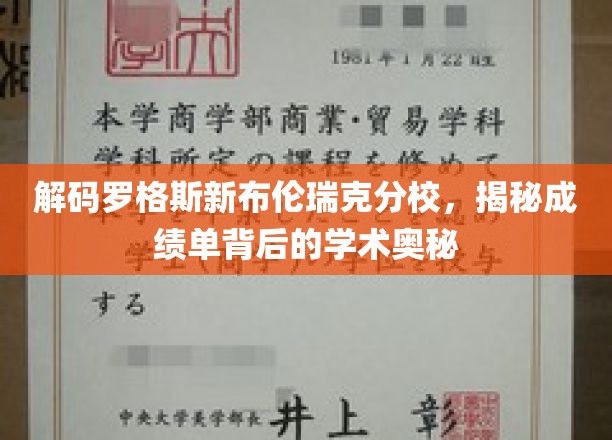 解码罗格斯新布伦瑞克分校，探寻成绩单背后的学术秘境