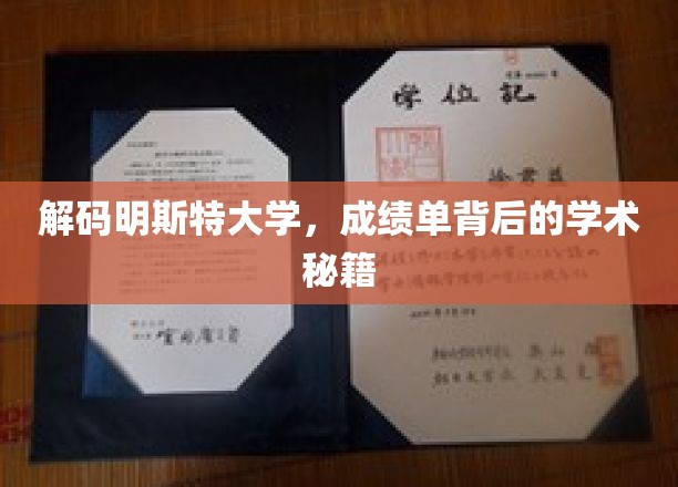 揭秘明斯特大学，探寻成绩单背后的学术奥秘