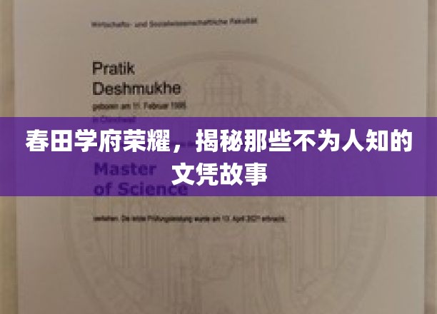 春田学府辉煌背后，探寻隐藏的文凭传奇故事