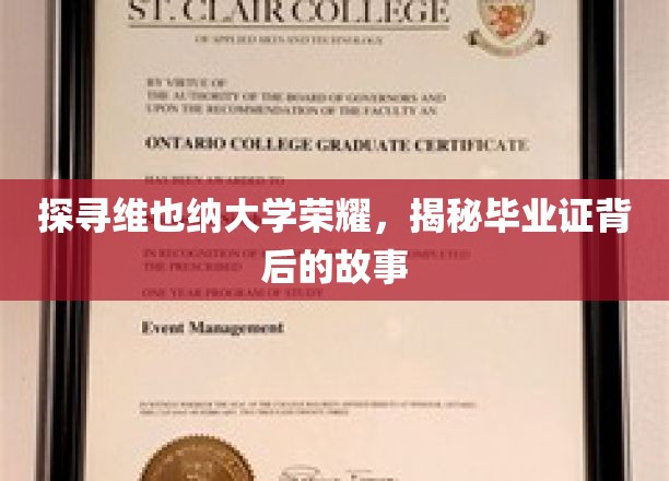 揭开维也纳大学荣耀之谜，毕业证书背后的传奇故事