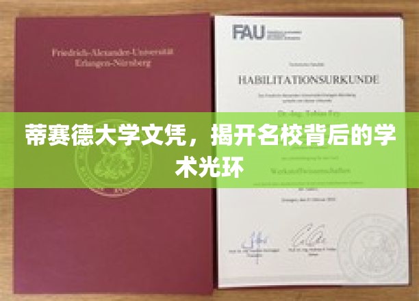 蒂赛德大学文凭，揭开名校背后的学术光环