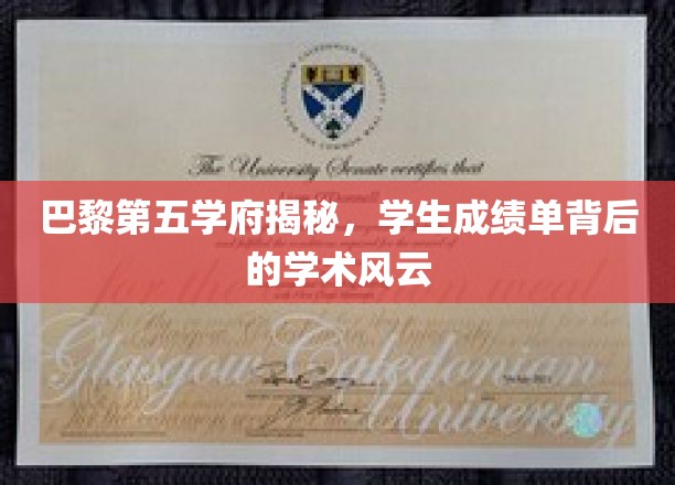 巴黎第五大学揭秘，探寻学生成绩单背后的学术风云