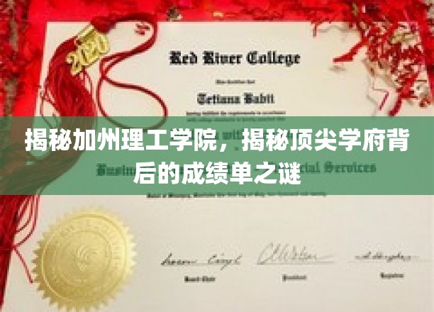 解码加州理工学院，揭秘世界顶尖学府的卓越之路