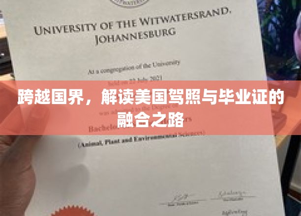 跨越国界，解读美国驾照与毕业证的融合之路