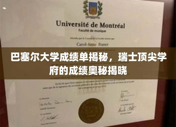 瑞士巴塞尔大学揭秘，揭秘顶尖学府的学术成就之谜