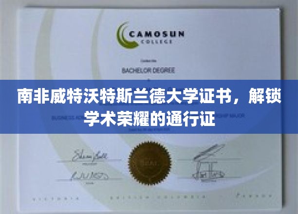 威特沃特斯兰德大学证书，开启学术巅峰之旅的钥匙