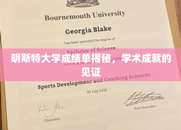 明斯特大学成绩单揭秘，见证学术成就