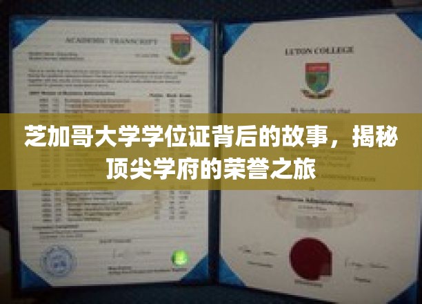 芝加哥大学学位证，探寻荣耀殿堂的神秘之路
