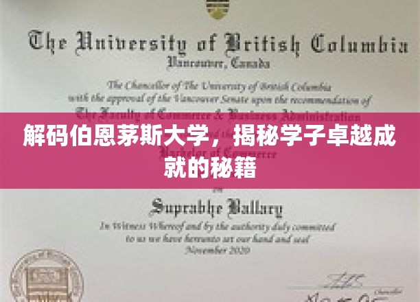 伯恩茅斯大学学霸养成记，揭秘学子卓越之路