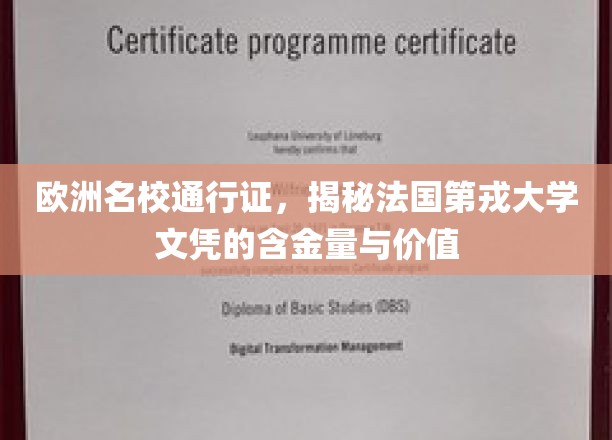 欧洲名校通行证，揭秘法国第戎大学文凭的含金量与价值