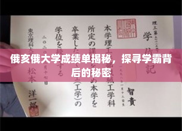 俄亥俄学霸养成记，揭秘大学成绩单背后的秘密力量