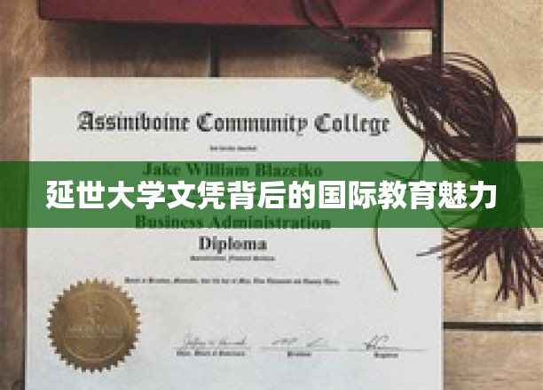 延世大学文凭，揭秘国际教育的独特魅力