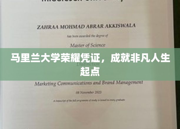 马里兰大学荣耀证书，开启非凡人生新篇章