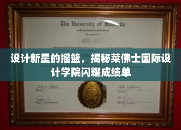 设计界璀璨新星孵化地，莱佛士国际设计学院惊艳成就大盘点