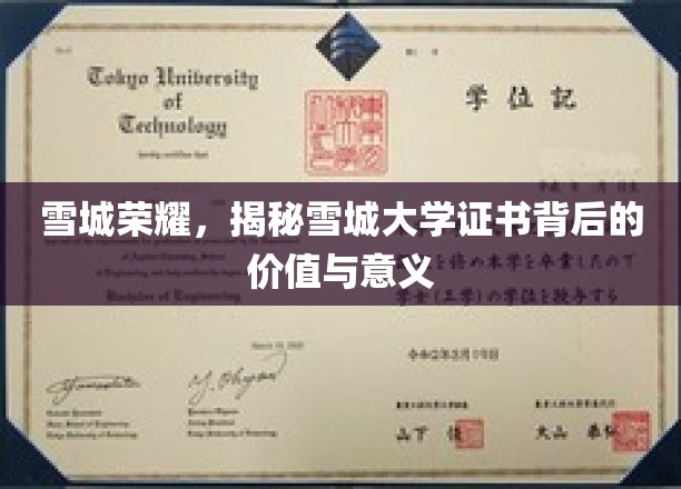 雪城大学证书魅力解析，探寻证书背后的非凡价值