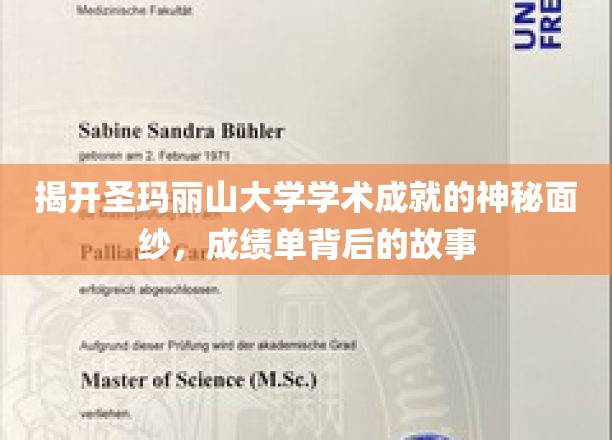 揭开圣玛丽山大学学术成就的神秘面纱，成绩单背后的故事