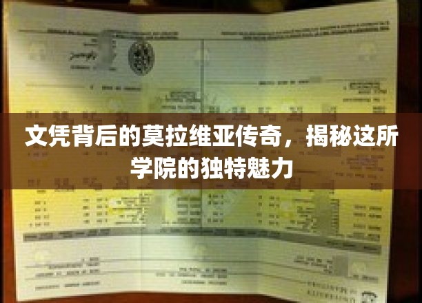 文凭背后的神秘之光，莫拉维亚学院的不凡魅力揭秘