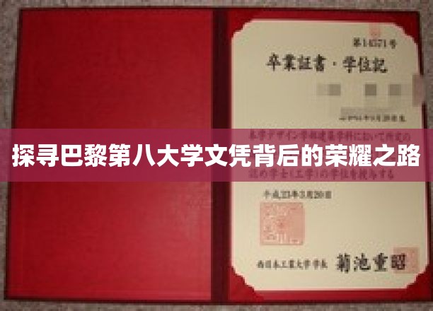 探寻巴黎第八大学文凭背后的荣耀之路