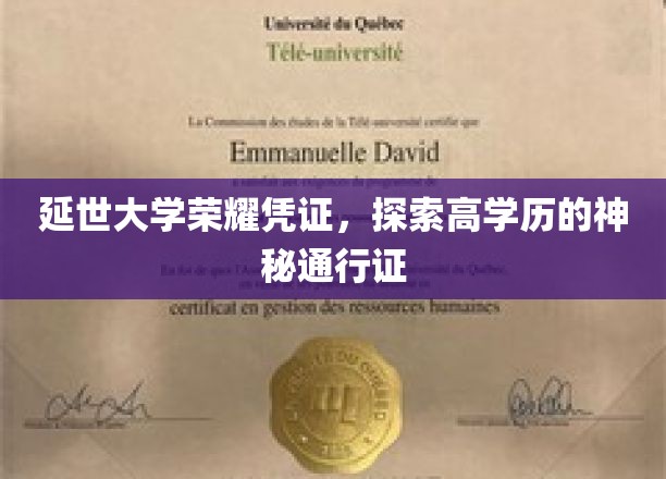 延世大学证书背后的高学历奥秘，解锁精英教育的神秘钥匙