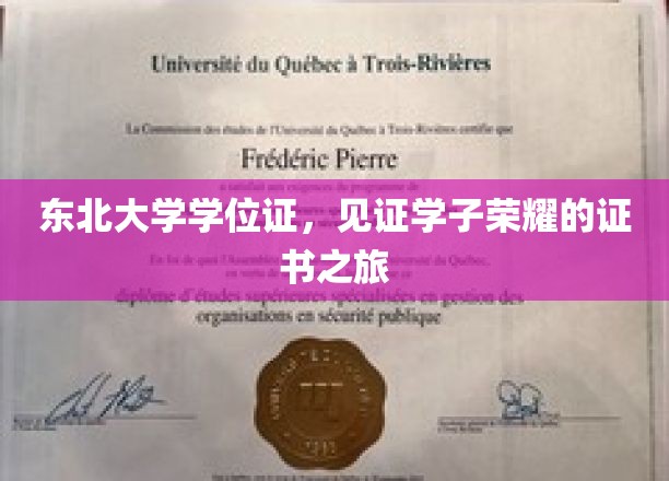 东北大学学位证，见证学子荣耀的证书之旅