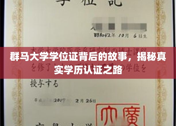群马大学学位证背后的故事，揭秘真实学历认证之路