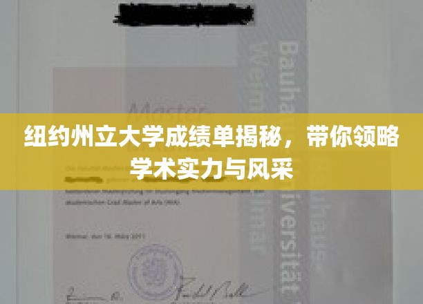纽约州立大学成绩单背后，探索学术实力与学子风采的璀璨篇章