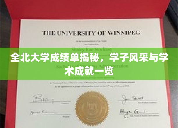 全北大学成绩单揭秘，学子风采与学术成就一览