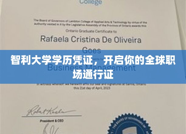 智利大学学位，助力全球职场自由行
