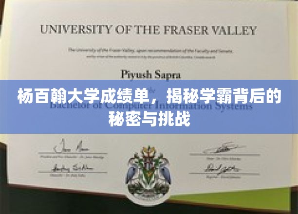 杨百翰大学成绩单，揭秘学霸背后的秘密与挑战