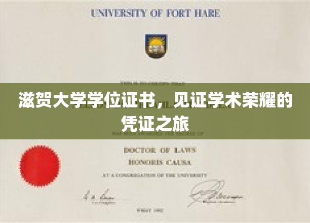 学术荣耀的足迹，滋贺大学学位证书之旅