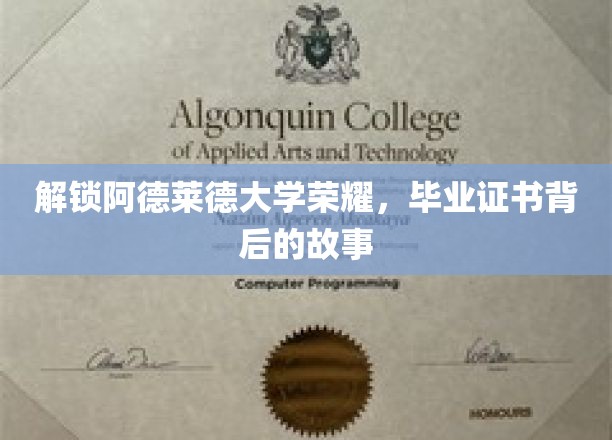 解锁阿德莱德大学荣耀，毕业证书背后的故事