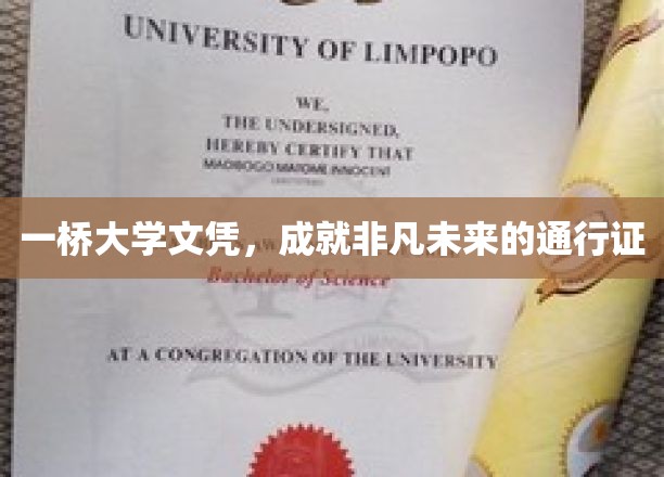一桥大学文凭，开启非凡人生旅程的黄金钥匙