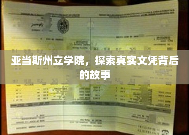 亚当斯州立学院，揭秘真实文凭背后的故事