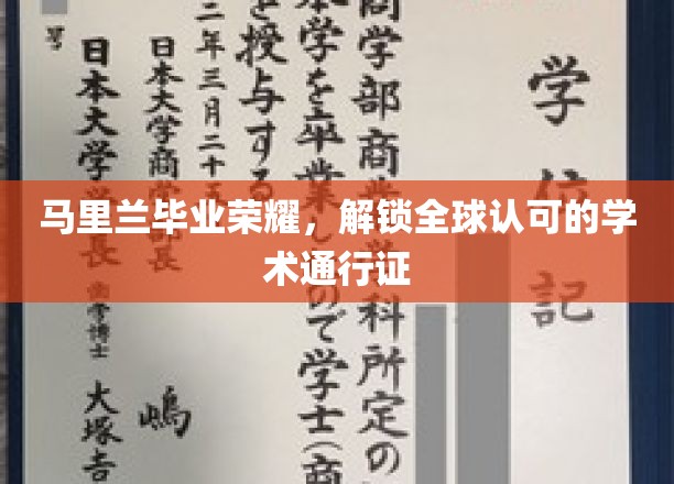 马里兰荣耀毕业，国际认可的学术之旅启航