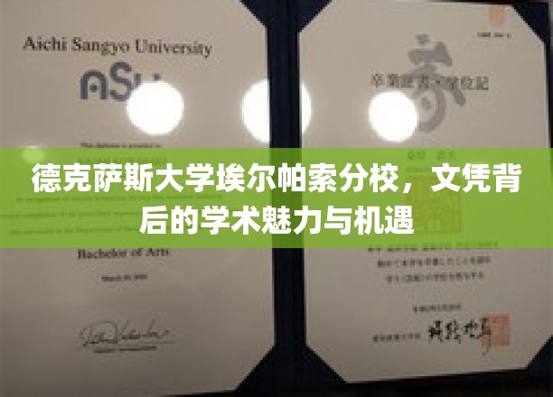 德克萨斯大学埃尔帕索分校，文凭背后的学术魅力与机遇
