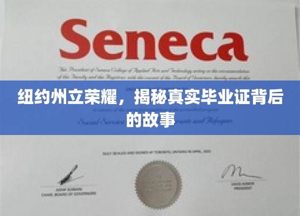 纽约荣耀揭秘，毕业证书背后的不凡旅程