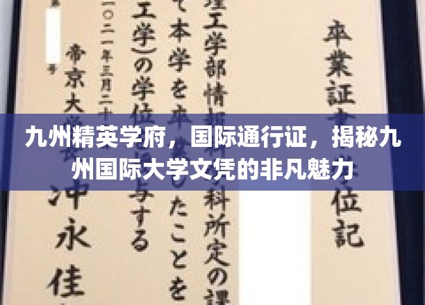 九州精英学府，国际通行证，揭秘九州国际大学文凭的非凡魅力