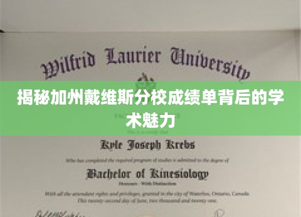 解码戴维斯分校成绩单，探寻学术殿堂的神秘魅力