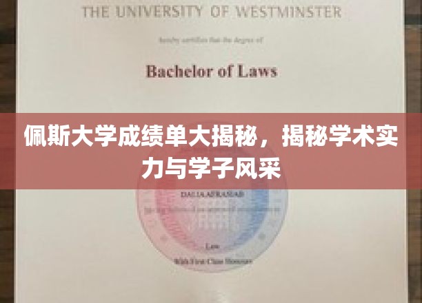 佩斯大学成绩单深度解析，揭示学术实力与学子风采