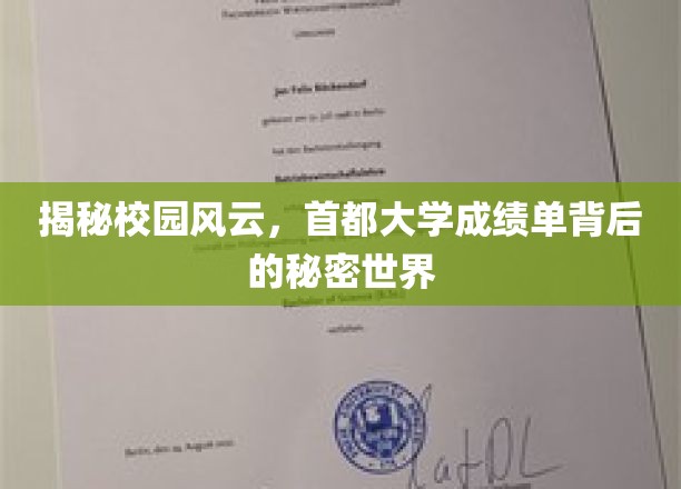解码首都高校，成绩单背后的风云际会