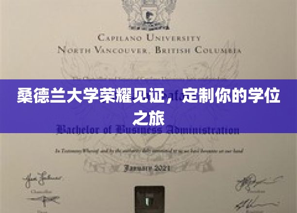 桑德兰荣耀殿堂，开启你的专属学位传奇之旅